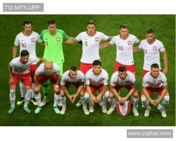 波黑与波兰足球对决比分预测及赛后分析